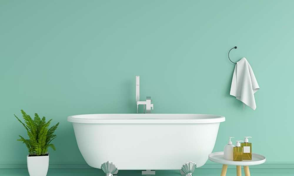 bathtub cleaning idea