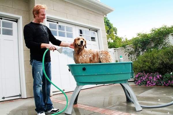 dog cleaning station