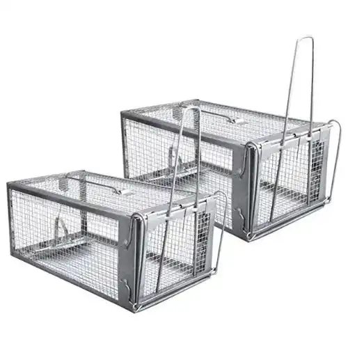 types of mouse traps