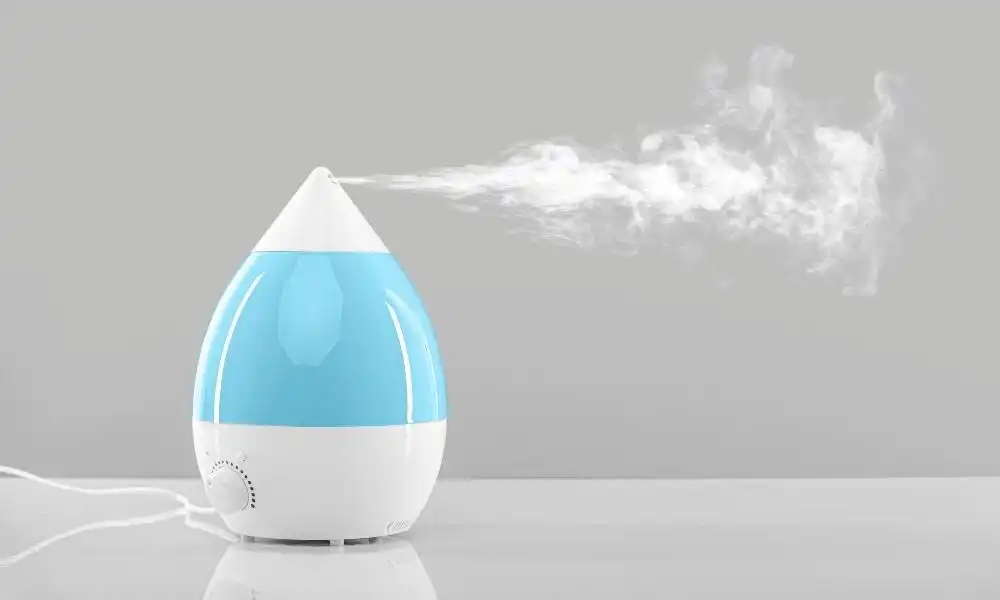 You are currently viewing 4 Different Types of Humidifiers