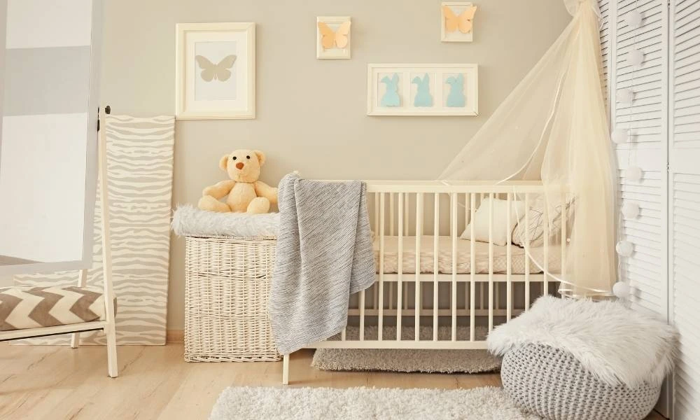 Type of Bedding for Baby Chicks