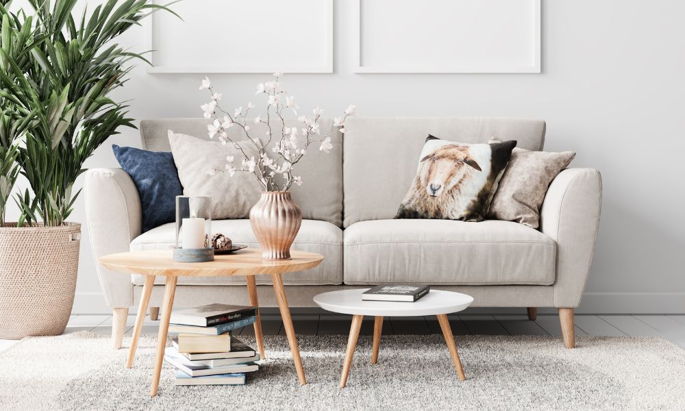 Guide to Finding Your Forever Couch